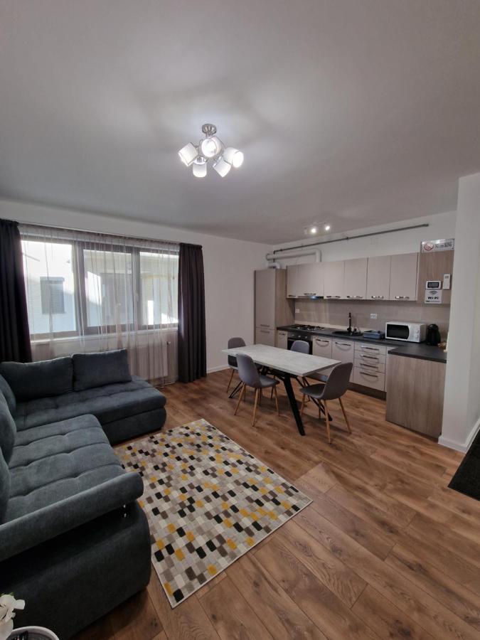 Vic Apartament دروبيتا تورنو سيفيرين المظهر الخارجي الصورة