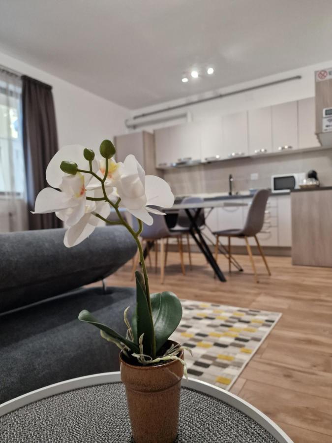 Vic Apartament دروبيتا تورنو سيفيرين المظهر الخارجي الصورة