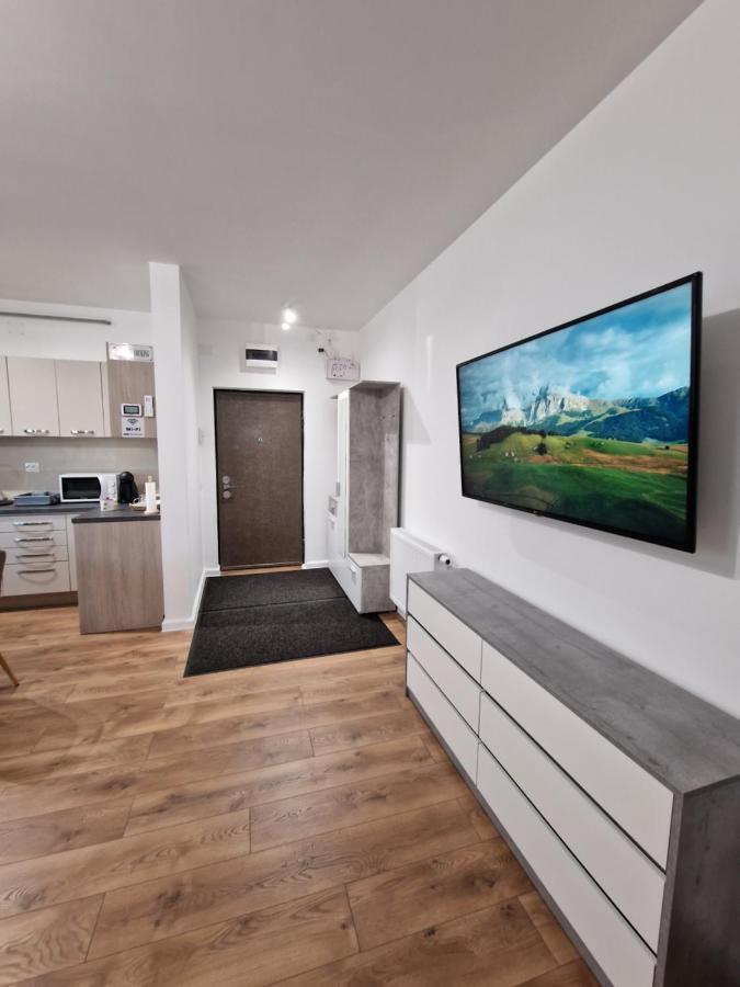 Vic Apartament دروبيتا تورنو سيفيرين المظهر الخارجي الصورة
